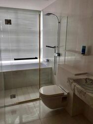 Cairnhill Residences (D9), Apartment #541022691